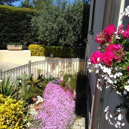 Robert House * Alghero