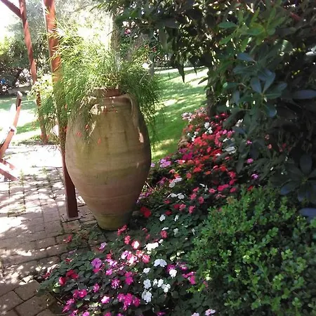 Robert House * Alghero